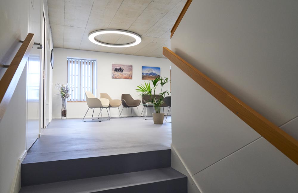 Lampe de haute qualité dans une salle d'attente avec éléments végétaux, créant une atmosphère accueillante et chaleureuse, œuvre de Flückiger.